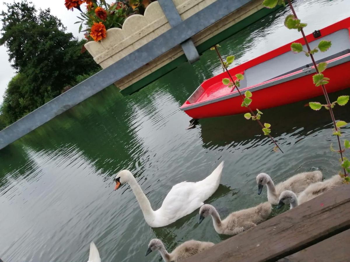Ferienwohnungen Schiller Landskron Εξωτερικό φωτογραφία